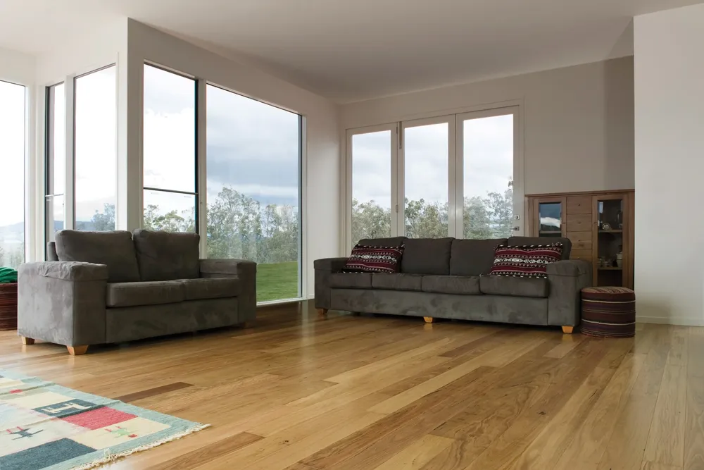 Open-plan kitchen and living area with zoned flooring
